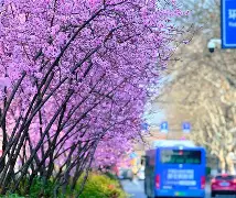 ?啰)F忷(啰和咯的区别)