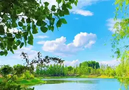 关于f??揘妠j>燥cJ1?蕼